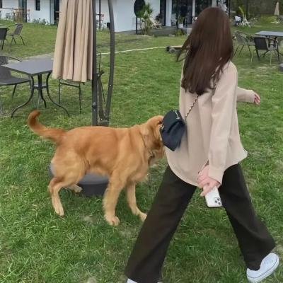 捉鬼小精灵2